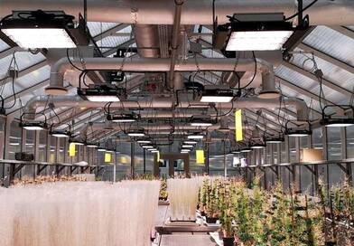 Brutális energiamegtakarítást hoz a magyar LED-rendszer – a kutatók sem hittek a szemüknek