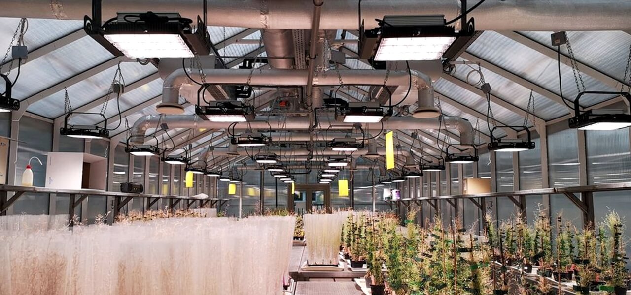 Brutális energiamegtakarítást hoz a magyar LED-rendszer – a kutatók sem hittek a szemüknek