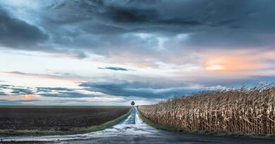 Vége a nyugalomnak: megszólaltak a meteorológusok a vasárnapi brutális szélvihar miatt