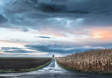 Vége a nyugalomnak: megszólaltak a meteorológusok a vasárnapi brutális szélvihar miatt