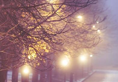 A jövő hét elején még párás, ködös idő várható, szenteste napján viszont kiterjedt csapadékzóna érkezik az ország felé, van, ahol havas esőre, havazásra is számítani kell.