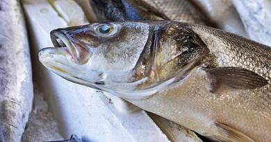 Ez a hal az egyik legveszélyesebb, mégis rendszeresen a kosarunkba kerül