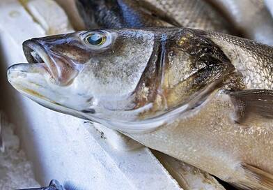 Ez a hal az egyik legveszélyesebb, mégis rendszeresen a kosarunkba kerül