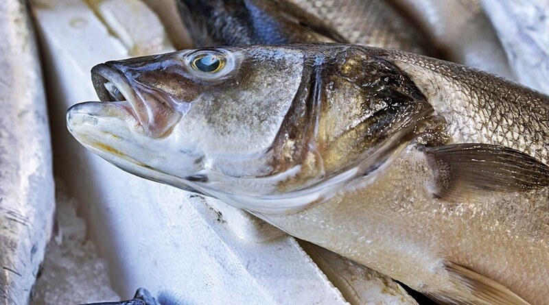 Ez a hal az egyik legveszélyesebb, mégis rendszeresen a kosarunkba kerül