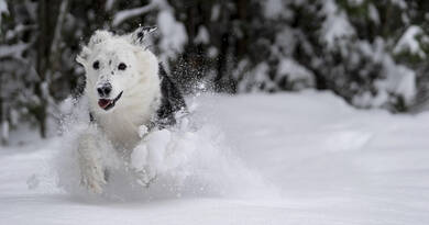 Időjárás-előrejelzés csütörtök: Ónos szitálás és köd várható
