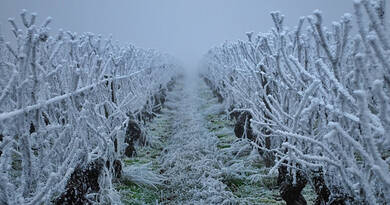 Sarkvidéki hideg jön – Lefagy minden, a szél felerősödik, -10 fok lesz, mutatjuk mikor!