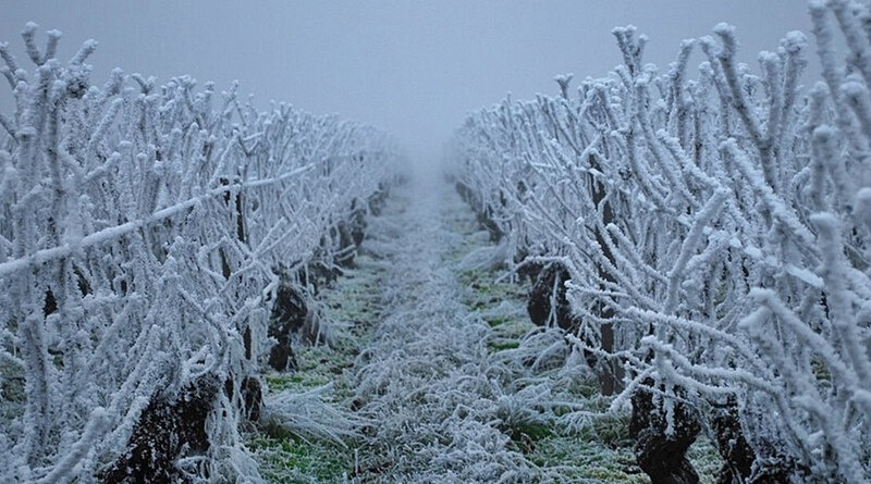 Sarkvidéki hideg jön – Lefagy minden, a szél felerősödik, -10 fok lesz, mutatjuk mikor!