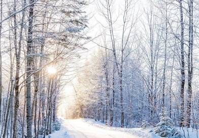 Időjárási elemzés 2025: Rendkívüli enyheség és szárazság jellemezte a decembert.