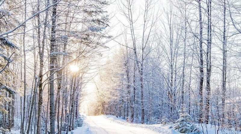 Időjárási elemzés 2025: Rendkívüli enyheség és szárazság jellemezte a decembert.