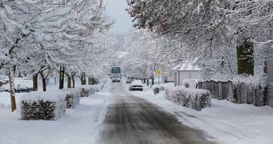 MOHU Budapest: 99%-os pótlás a hulladékszállításban és fenyőfabegyűjtés hírek