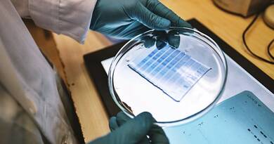 Pécsi tudományos siker: 1,2 milliárdos projekt a mitokondriumokról