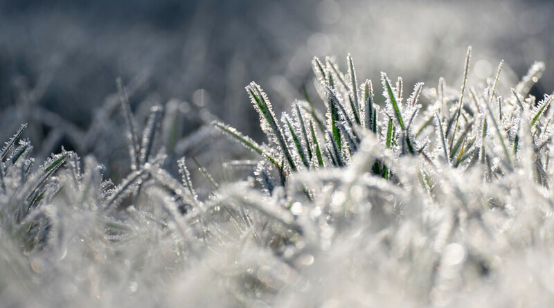 2026. február 5-én kettészakad az ország: északkeleten hideg, délen tavaszias 14 fok várható. Mutatjuk a csütörtöki szél- és esőjelentést!