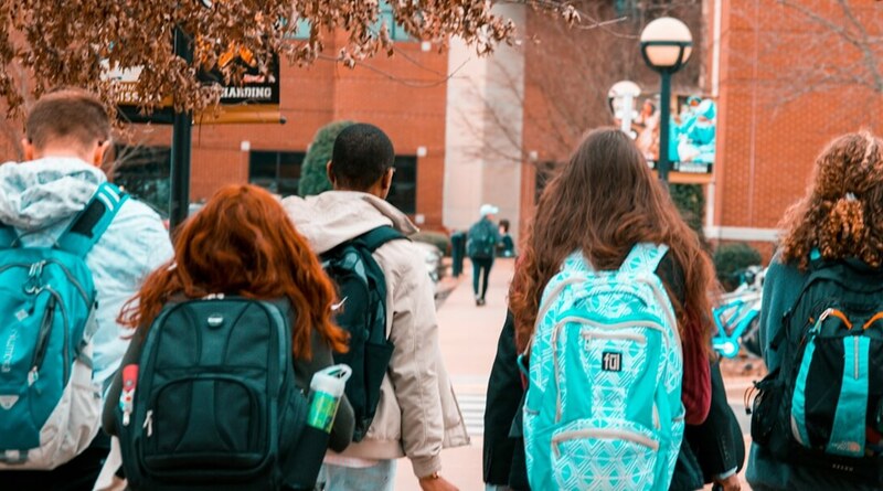 Vége a nagy magyar hazugságnak? Döbbenetes adatok láttak napvilágot, mégis a papír számít és nem a tapasztalat?