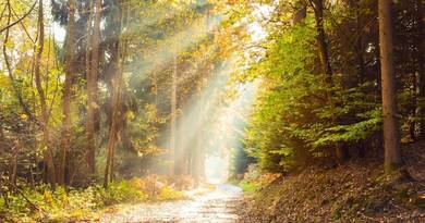 Eldőlt a sorsunk: olyan számokat látni az előrejelzésben március 15-re, amitől tátva marad a szája