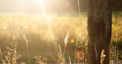 Ne dőljön be a reggeli fagynak: váratlan fordulatot tartogat az időjárás szerda délutánra