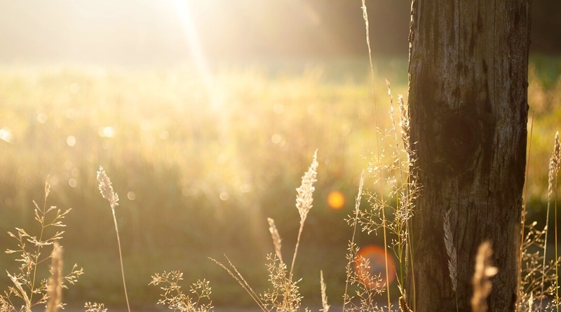 Ne dőljön be a reggeli fagynak: váratlan fordulatot tartogat az időjárás szerda délutánra