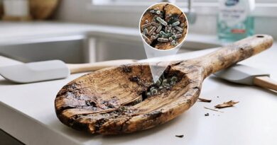 A fakanál rejtett titkai: mikor kell végleg kidobni a higiénia miatt?