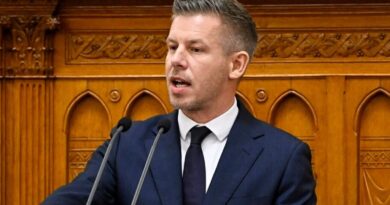 Fontos bejelentést tett Magyar Péter, rengeteg család kap 100 ezer forintot, az első részlet augusztusban érkezik