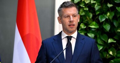 Kritikus a helyzet: Magyar Péter drámai figyelmeztetést adott ki az összes magyar háztartásnak