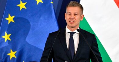 Fontos bejelentést tett Magyar Péter, újabb német beruházások érkezhetnek Magyarországra