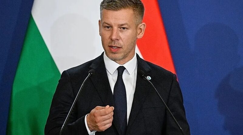 Megszólalt Magyar Péter a paksi leállásról, ezt üzente az áramellátás miatt aggódó magyaroknak