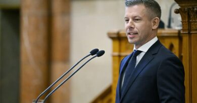 Augusztus 20-ára országos Tisza-sziget találkozót hirdetett Magyar Péter