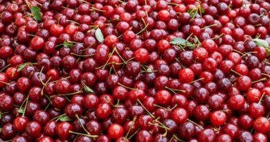5 meggyes sütemény recept, ami pillanatok alatt elkészül