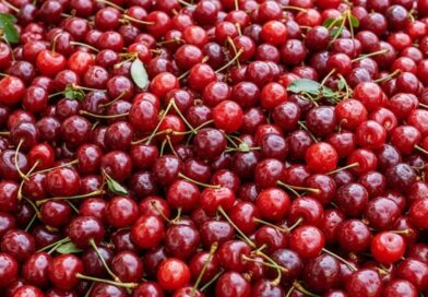 5 meggyes sütemény recept, ami pillanatok alatt elkészül