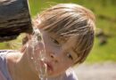Ez történik a testeddel, ha megiszol napi 2,5 liter vizet