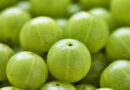 A világ legegészségesebb gyümölcse: 20-szor több C-vitamint tartalmaz, mint a narancslé!