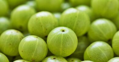 A világ legegészségesebb gyümölcse: 20-szor több C-vitamint tartalmaz, mint a narancslé!