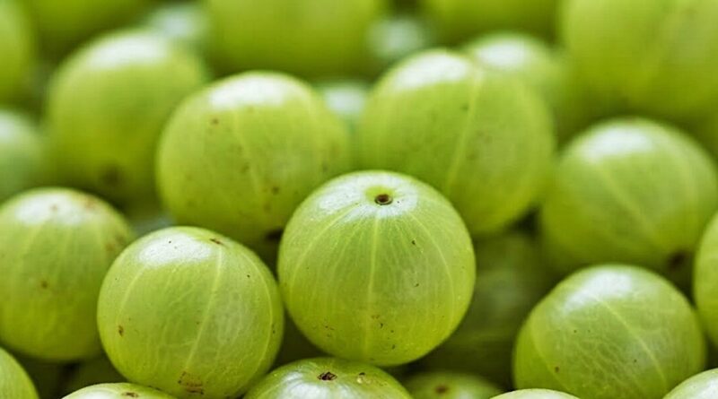 A világ legegészségesebb gyümölcse: 20-szor több C-vitamint tartalmaz, mint a narancslé!