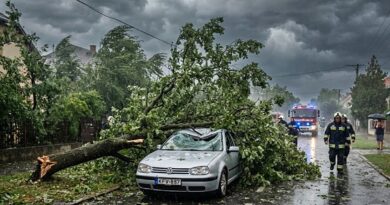 Zivatarok pusztítottak Pest vármegyében: több településen is jelentős károkat okozott a vihar