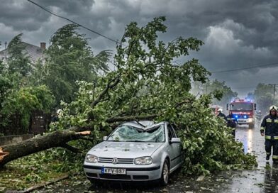 Zivatarok pusztítottak Pest vármegyében: több településen is jelentős károkat okozott a vihar