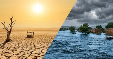 Erősödik a 2026-os El Niño: világszerte drágulást és ellátási zavarokat okozhat, Magyarország sem marad érintetlen