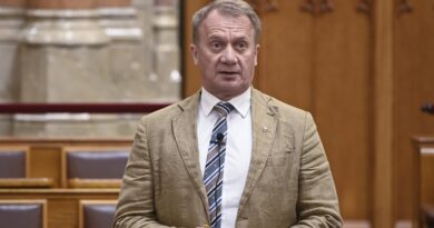 Varju László üzent Magyar Péternek is, ezt várja a DK
