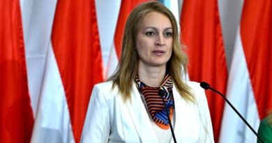 Forsthoffer Ágnes: az európai parlamentek feladata az együttműködés a nemzetközi rend megújításában