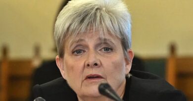lannert-judit-az-orban-kormany-jogsertoen-korlatozta-a-magyar-pedagogusok-sztrajkjogat