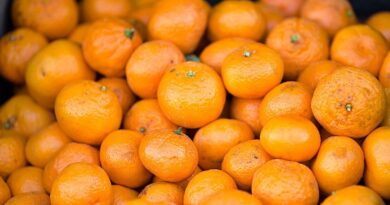 Mandarint vásárolsz? Ezt nézd meg rajta, ha édes és lédús darabokat szeretnél hazavinni