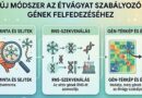 Új módszer mutatja meg, milyen gének működnek az étvágyat szabályozó emberi idegsejtekben