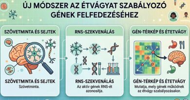 Új módszer mutatja meg, milyen gének működnek az étvágyat szabályozó emberi idegsejtekben